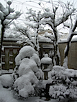 snow_2009_1.jpg