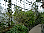 P1000792.JPG