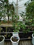 P1000793.JPG