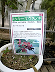 P1000794.JPG