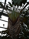 P1000796.JPG
