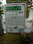 P1000797.JPG