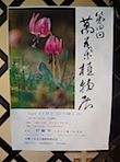 manyo_syokubutsu.jpg