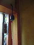 furin.jpg