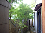 uradeguchi.jpg