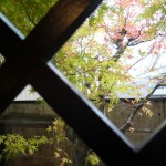 20091117_2