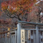 20091204