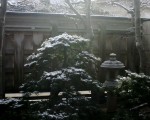 20100227