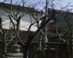 20100403