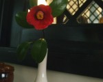 20100501