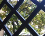 20100505