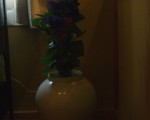 20100603