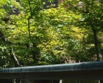 20100607_1