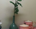 20100810_1