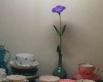 20100810_2