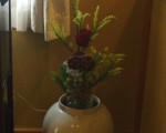 roses