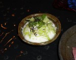 20110208_4