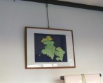 nanohana
