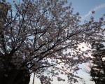 20110408