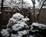 niwa
