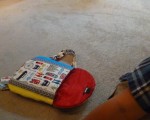 bag