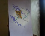 wol