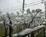yuki2