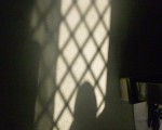 shade