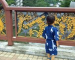 zoo