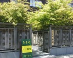 wakaba