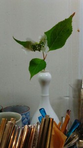 ajisai