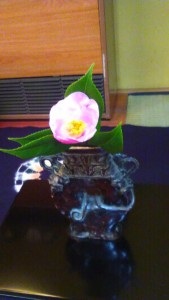 hatsu